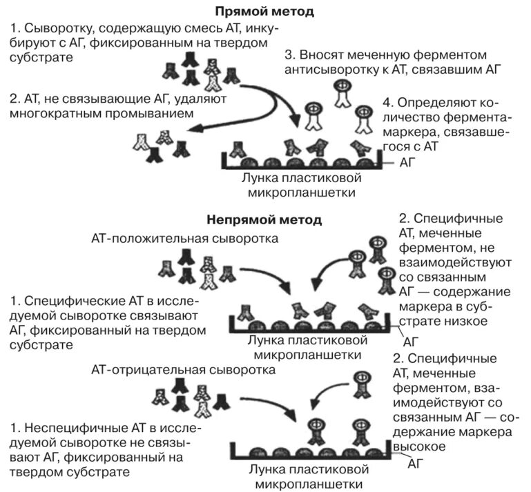 Иммуноферментный анализ (ИФА). Принцип метода. Схему протекания твердофазного ИФА. ИФА методика выполнения анализа. Непрямой метод иммуноферментного анализа. Ифа качественно что это