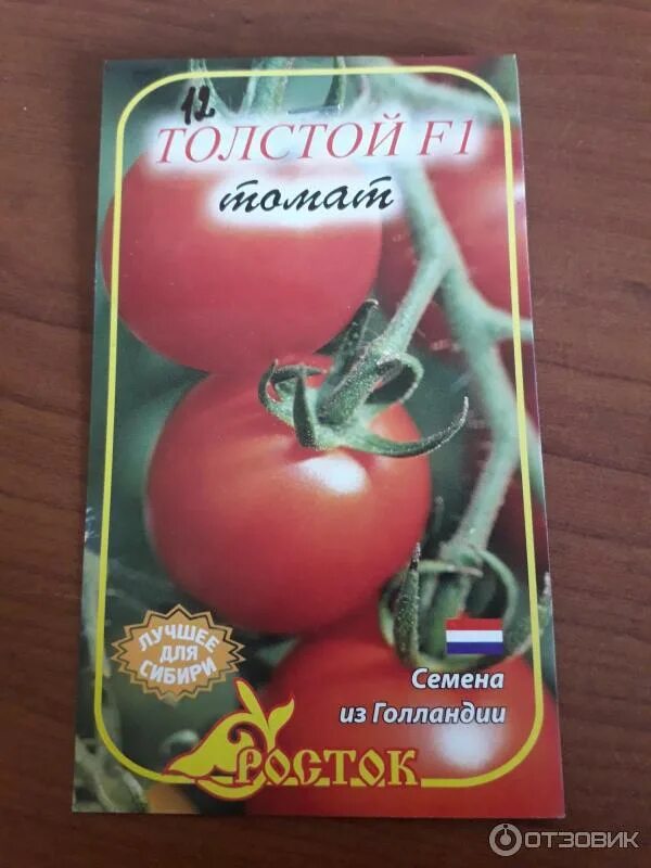Томат "Толстой F1" ТМ "GL SEEDS" 0.1г купить почтой в Одессе, Киеве, Украине Agr