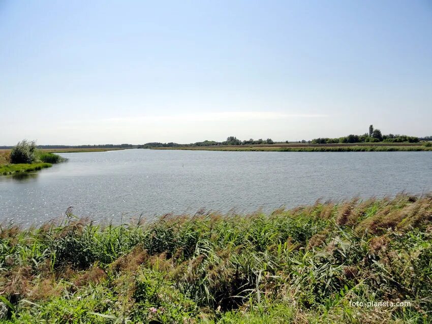 Богдановский пруд воронежская. Трофимовка кирсановский район тамбовская область. Пруд тамбов. Алексеевский пруд тамбовская область. Пруд тамбов.