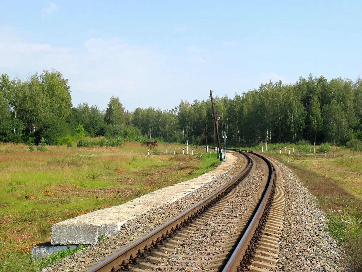 Рязанская железная дорога. Александровка станция ЖД. Александровка Рязанская область. Станция Путятино Ярославская область. Рязань Александровка.