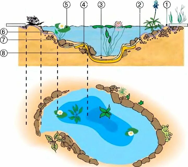 water pool technologi Пруд, Садовые пруды, Садовый пруд фонтан