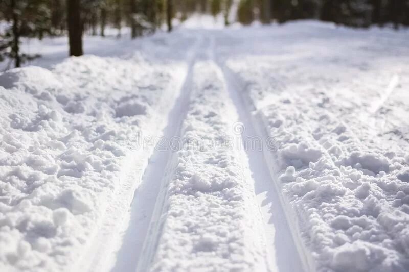След от саней на снегу. Следы лыж на снегу. Следы от лыж. Следы от санок на снегу.