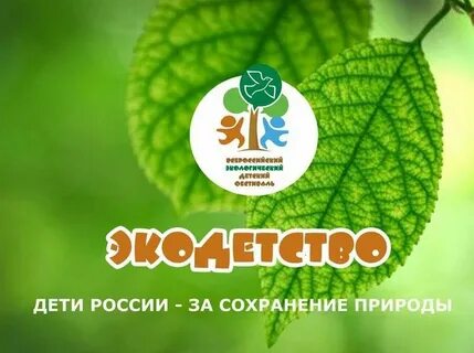 Детский экологический фестиваль