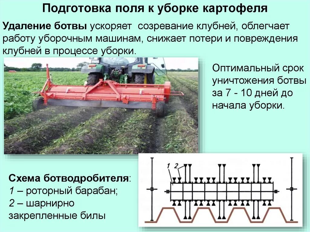 Подготовка поля операции. Схема подготовки поля к уборке картофеля. Способы уборки картофеля схема движения агрегатов. Машины для возделывания картофеля. Машина для уборки ботвы картофеля.