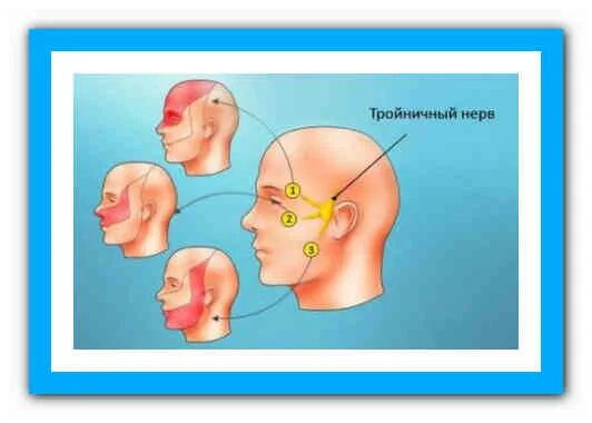 Зуб мудрости и тройничный нерв. Зубы мудрости троичный нерв. Болит тройничный нерв зуб мудрости. Лицевой тройничный нерв и зуб мудрости.