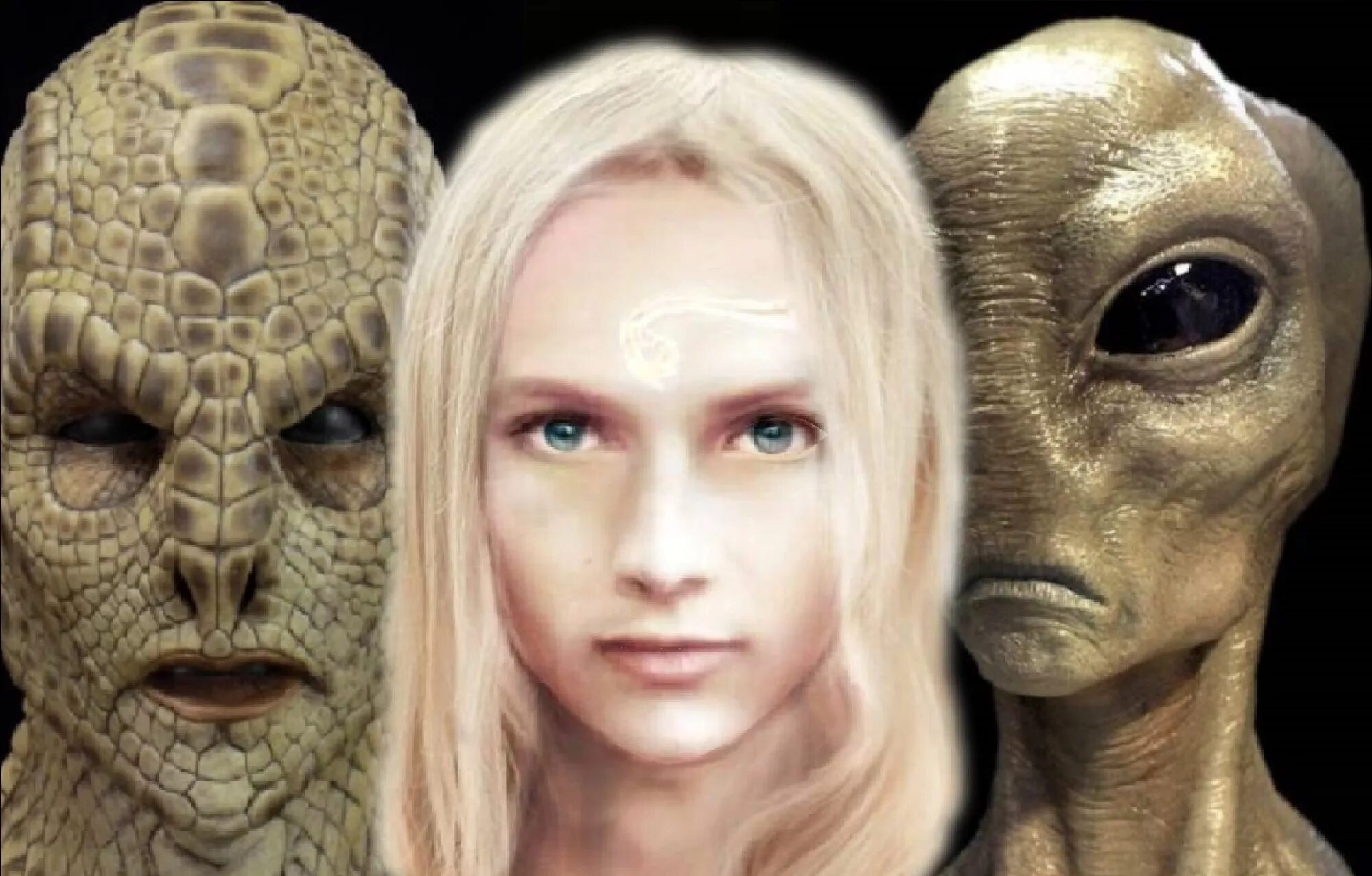 Сильвари раса. Кварианцы без маски концепт. Юань-ти чистокровный арт. Расы sylvari. Раса аннунаки аннунаки.