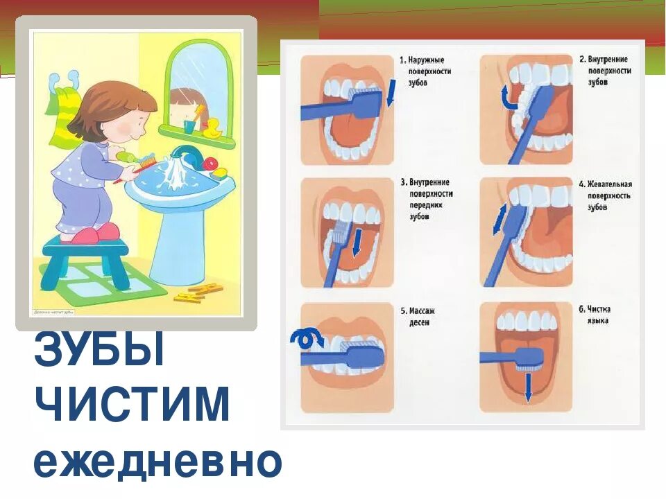 Алгоритм чистки зубов для дошкольников. Схема чистки зубов для детей. Схема правильной чистки зубов. Алгоритм чистить зубы для детей. Чистить значение