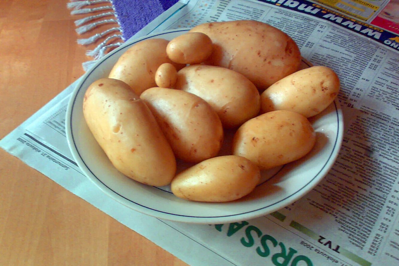 10 килограмм картошки. Килограмм картофеля. Картофель кг. Картошка 1. 1 Кг картошки.
