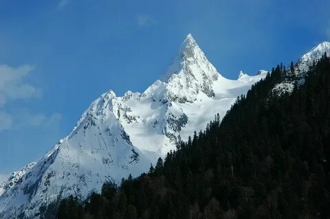 Гора на территории