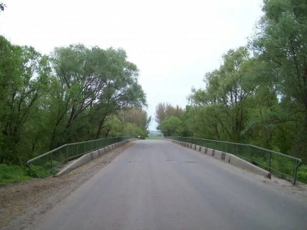 топографическая карта алексеевского района белгородской области. снимки со спутника деревни симаково 1960 года. ростовская область со спутника. репьевка саратовская область мост. спутниковая фотография земельного участка.