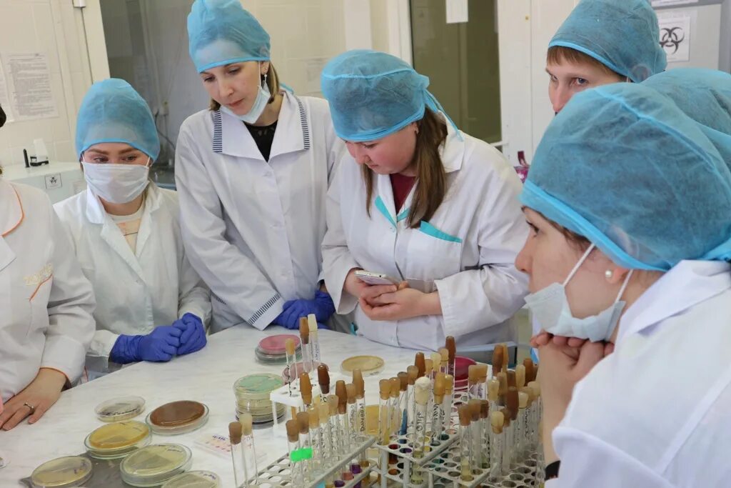 лабораторная диагностика специальность. лаборатория вирусологии. микробиология всэ. микробиология студенты. биофак мгу лаборатории.