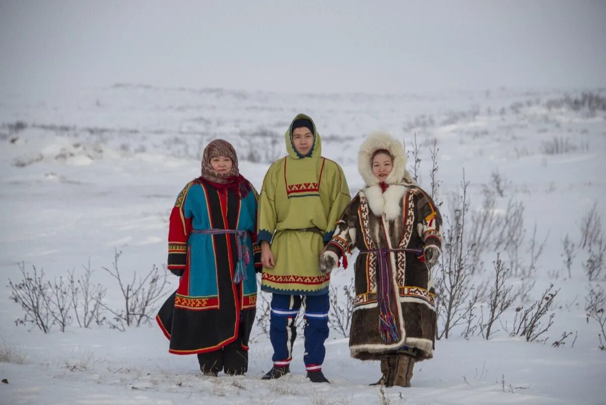 Ненцы Таймыр. Манси Ханты Коми ненцы. Сибирские ненцы. Народы Таймыра ненцы.