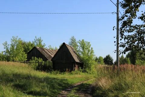 Погода соколье