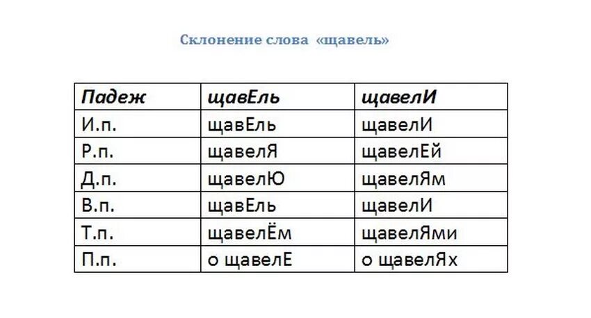 Склонять слово писать. Щавель ударение. Щавель ударение склонение. Склонение слова щавель с ударением. Щавель склонение по падежам с ударением.