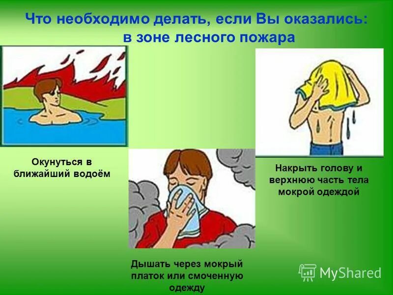 Пробравшись 1 через мокрый. Вы оказались в зоне лесного пожара. Влияние лесных пожаров на здоровье человека. Дышать через мокрую ткань. Дышать через платок.