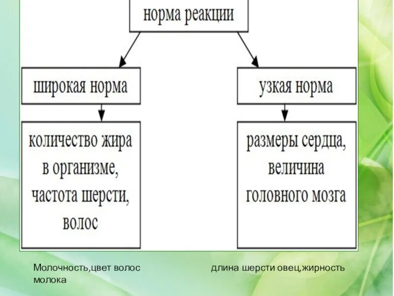 Нормы реакции бывают. Узкая норма реакции 2) широкая норма реакции. 1) Узкая норма реакции 2) широкая норма реакции. Признаки с узкой нормой реакции. Узкая норма реакции примеры.