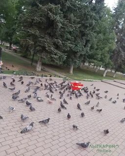 Интернет лыткарино
