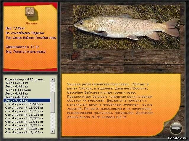 Как поймать сома в реальной рыбалке. Майгунна. Дипломы рыбалка карп амур. Амурский сом реальная рыбалка. Русская рыбалка 4 сом.