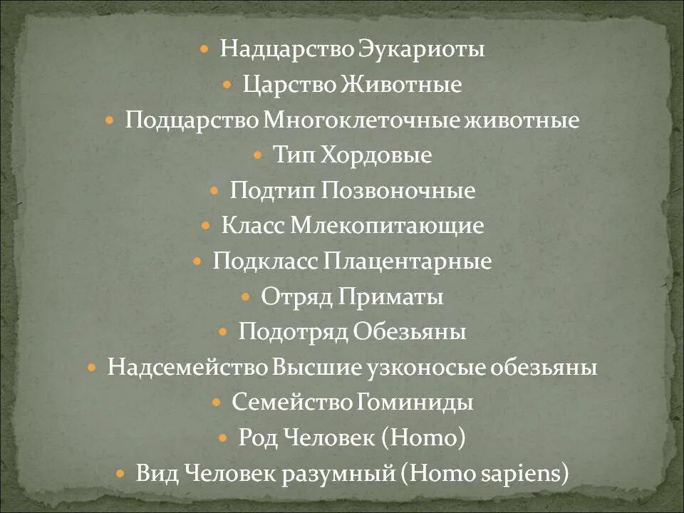 Подтип тип вид род царство. Надцарство царство тип класс отряд. человек надцарство царство подцарство тип подтип. надцарство эукариот царство животные. ннад царства царства подцарстао тип ...