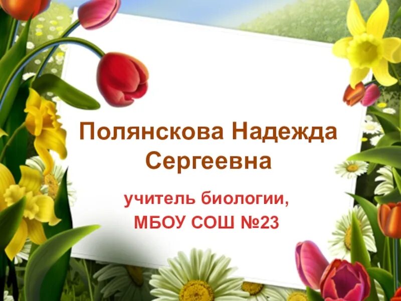 И Токмакова плим в чудной стране. Плим в чудной стране. В чудной стране 2 класс