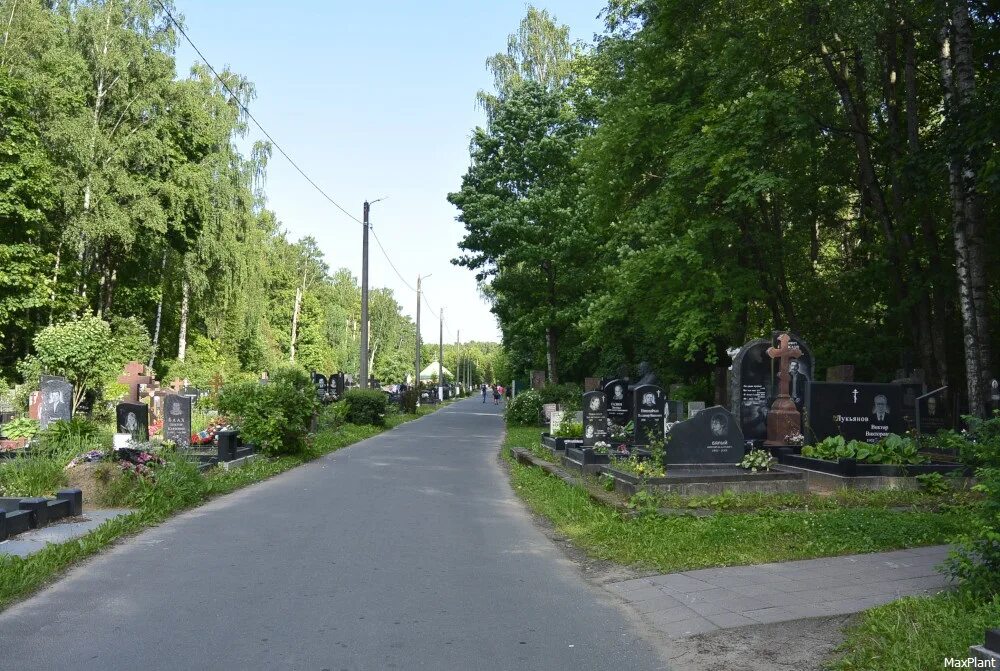 Торжественно-траурная церемония возложения цветов и венков к братскому захоронен