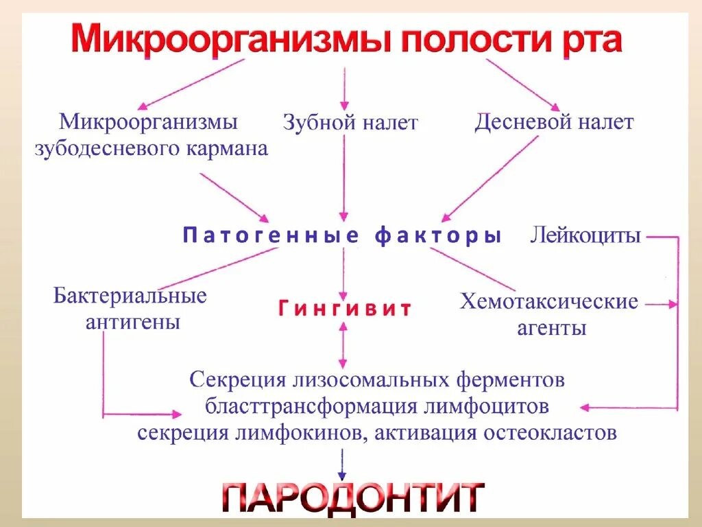 Обезвреживание бактерий слюной