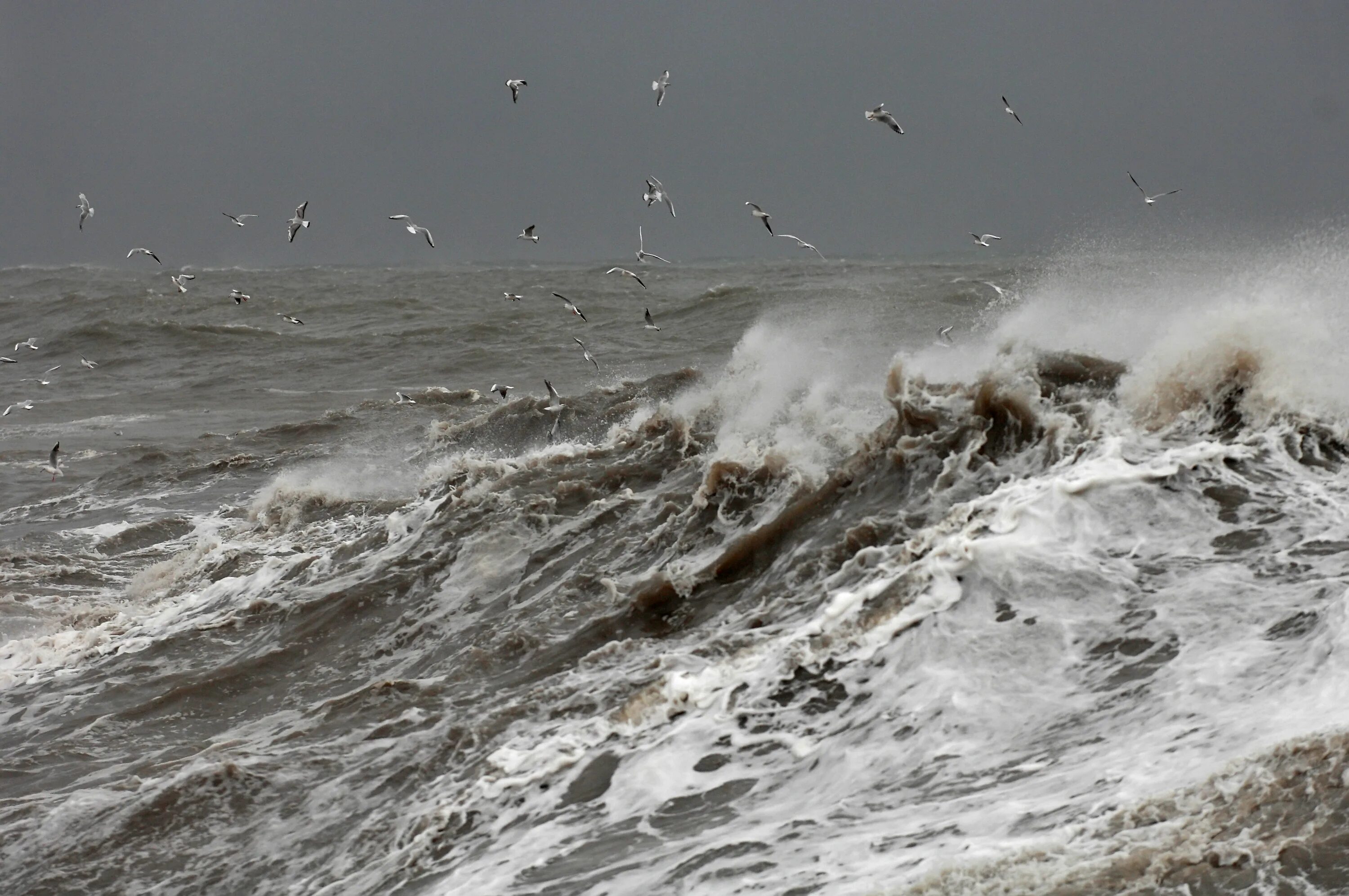 Море гудело грозно. Ураган Иэн. Каспийское море шторм. Баренцево море шторм. Шторм на финском заливе.