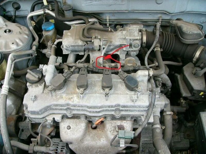 Двигатель Ниссан Альмера 1.8. Двигатель Nissan Almera 2004 1.8 at. Ниссан Альмера н16 2004 двигатель. Номер двигателя Альмера н16 1.8. 20 n 16 3