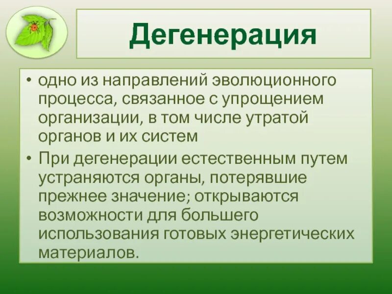 Дегенерация. Направления и пути эволюционного процесса. Основные направления эволюционного процесса. Общая дегенерация у растений.