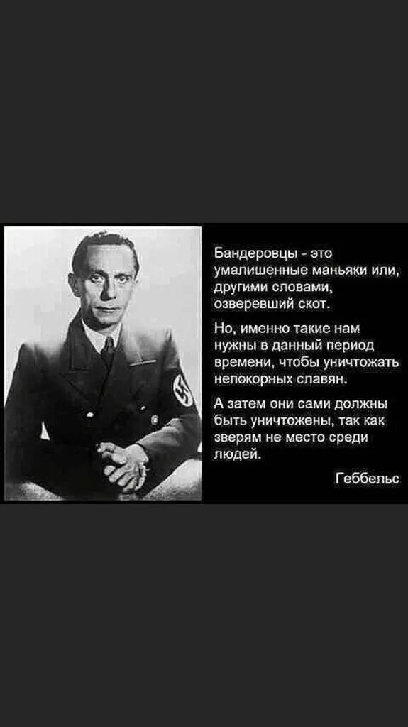 Цитаты геббельса