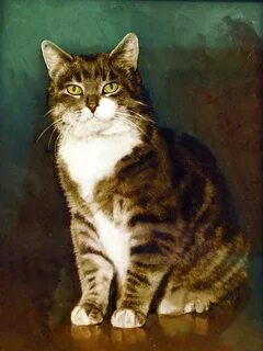 Котики 8