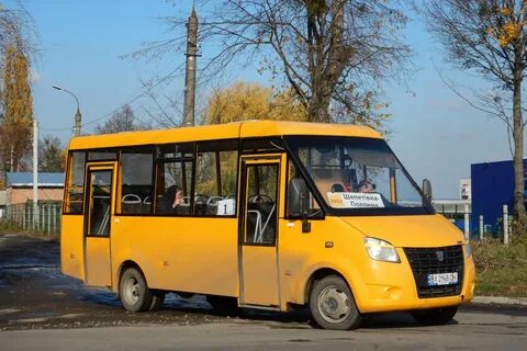 Рута нова