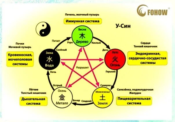 Питание 5 энергий. Философские основы китайской медицины. Ци в китайской философии. Философские основы традиционной китайской медицины. Энергия Ци в китайской медицине.