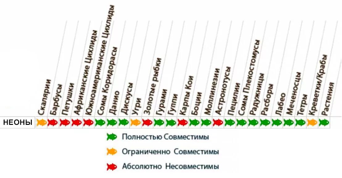 Петушки аквариумные совместимость с другими рыбками. Рыба телескоп совместимость с другими рыбами. Петушок рыбка совместимость с другими рыбами таблица. Телескоп рыбка аквариумная совместимость с другими рыбами. Петухи рыбы совместимость