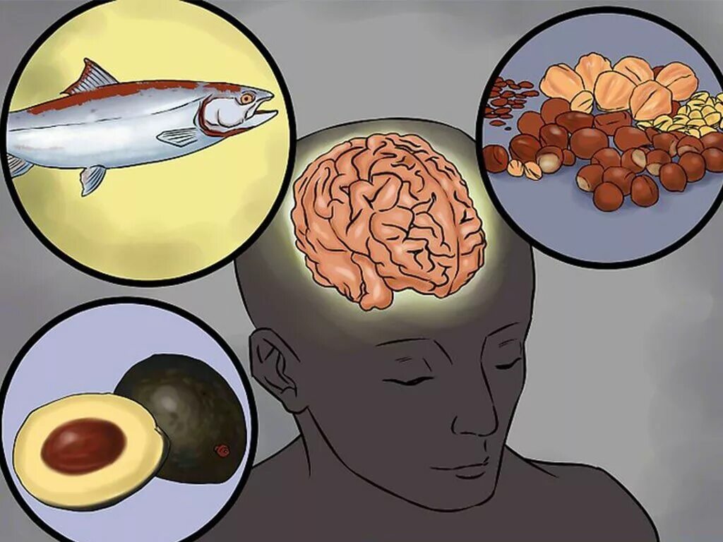 Опасно есть мозги. Пища для мозга. Пища для мозгов. Полезные жиры для мозга. Влияние пищи на мозг.