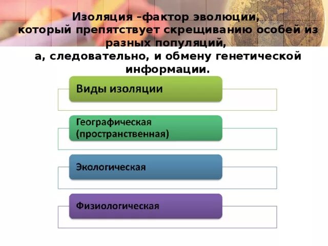 Изоляция это фактор эволюции который. Факторы эволюции изоляция примеры. Виды изоляции в эволюции. Изоляция как фактор эволюции. Элементарные эволюционные факторы изоляция