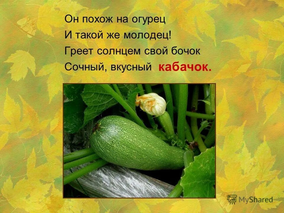 Стих молодец. Молодцы постарались. Отгадывать загадки. Спасибо вы молодцы. Молодец для дошкольников.