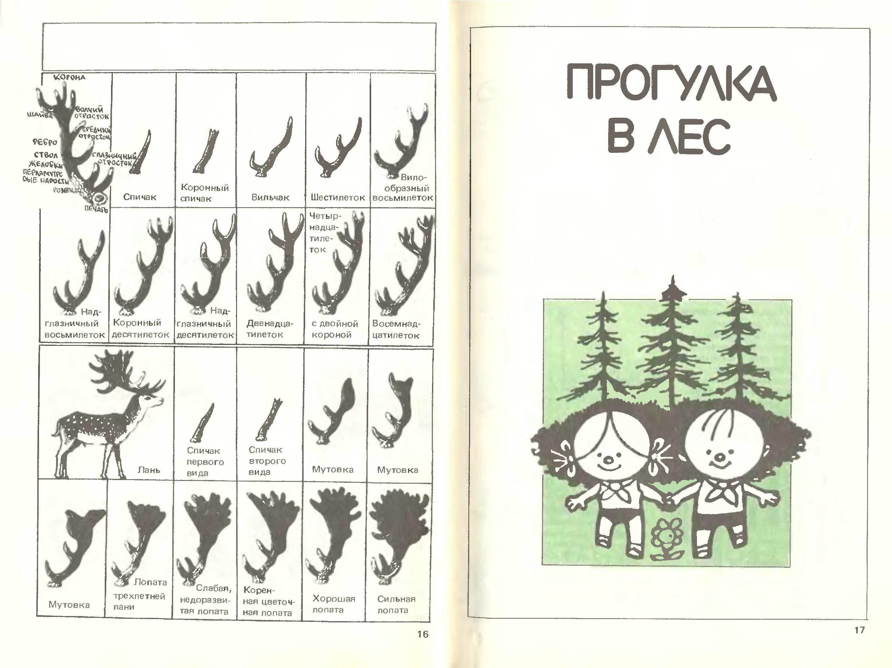 Пионерский лагерь книга читать. Карел Поломис дети в Пионерском лагере. Дети в Пионерском лагере книга. Детство в Пионерском лагере книга. Детская литература в Пионерском лагере.