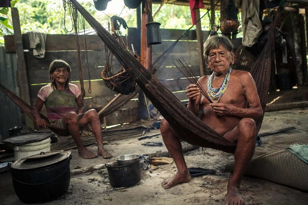 живет дикий народ. живет дикий народ. дикие африканские племена. индейцы ваорани эквадор. живет дикий народ.