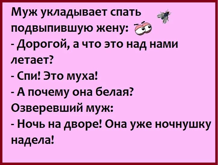 Муж укладывает жену спать. Мухи в ночнушках анекдот. Анекдот про муху и мужа с женой. Анекдот про спящего мужа. Жена муха