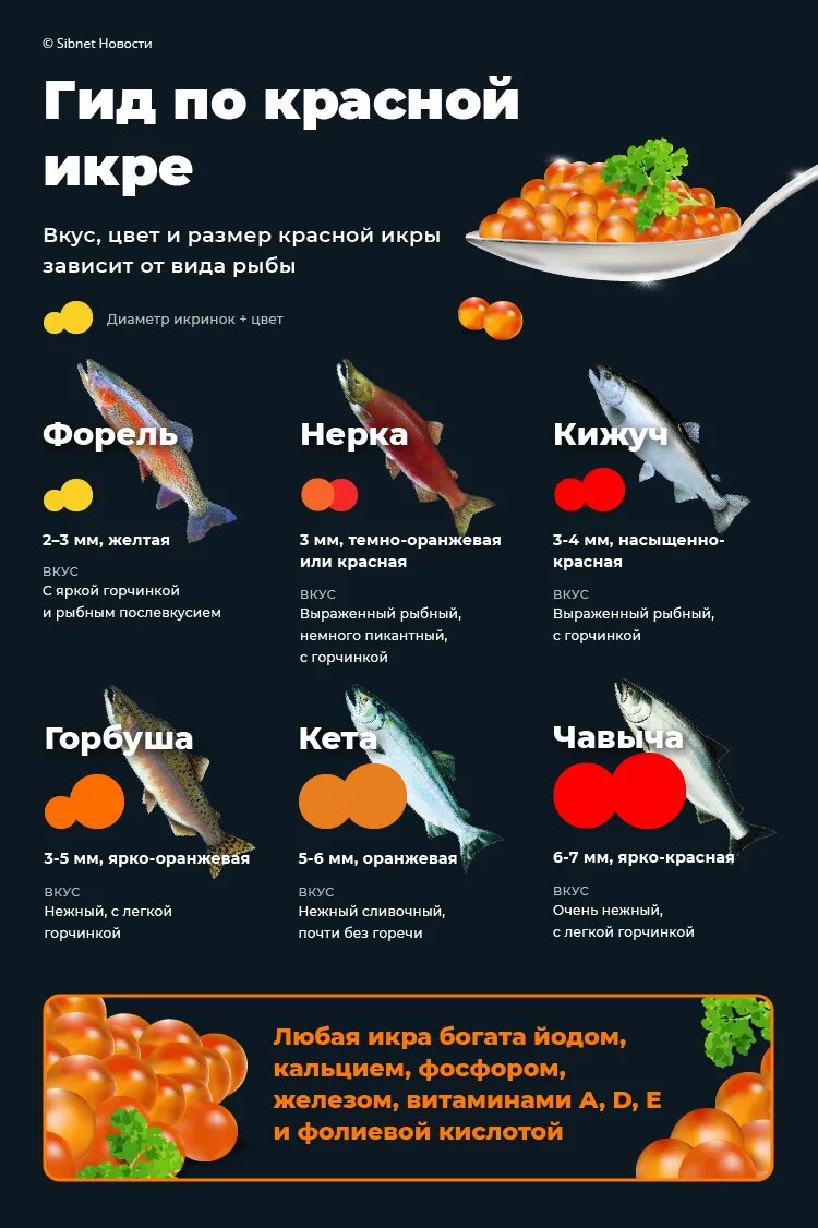 Какая бывает икра рыб. Икра красная форель горбуша кета отличия. размеры красной икры лососевых рыб как отличить. икра красная форель кижуч горбуша кета отличия. лососёвые породы рыб икра.