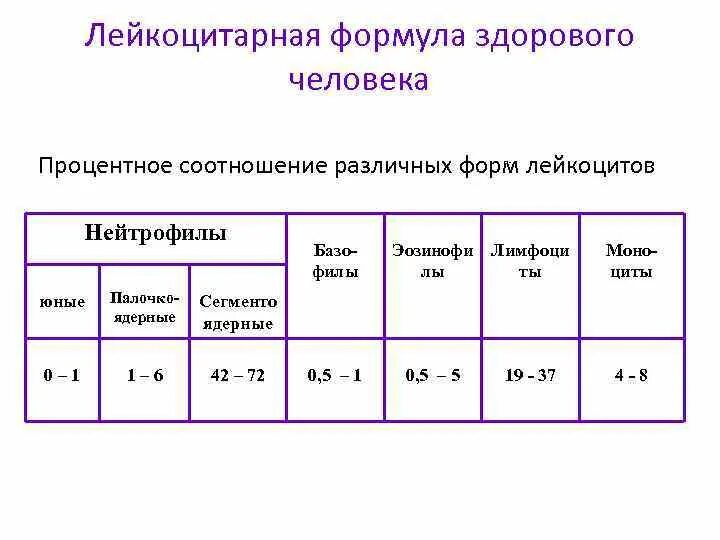 Лейкоциты группа крови. Лейкоцитарная формула здорового человека таблица. Лейкоцитарная формула норма. Лейкоцитарная формула расшифровка. Сдвиг лейкоцитарной формулы таблица.