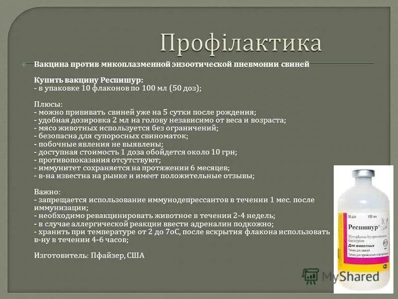 Вакцина против классической чумы свиней. Чума свиней вакцина инструкция. Энзоотическая пневмония свиней вакцинация. Актинобациллезная пневмония свиней. Токсипра