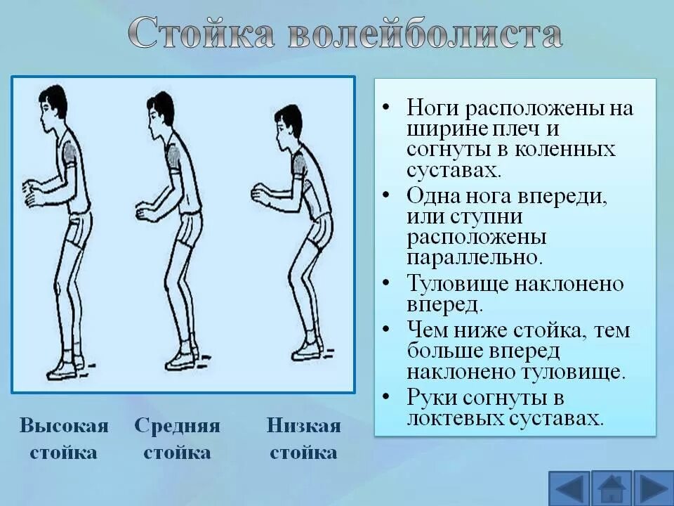 Стойки и перемещения волейболиста. Стойки и перемещения игрока в волейболе. Техника игры стойки в волейболе. Техника стойки волейболиста. Активное передвижение не является характерной