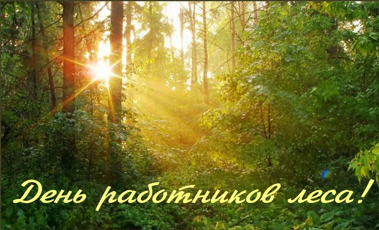 День работника леса. С днем работника леса. день работников леса открытки. открытка работнику леса. лес наш друг.