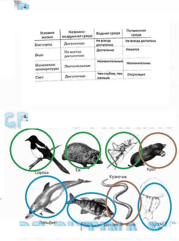 Читать биологию 5 класс плешаков. Практическая работа по природоведению 5 класс животные. Таблица по естествознанию 5 класс. Биология 5 класс Сонин среда обитания. Рабочая тетрадь по биологии 3 среда обитания.