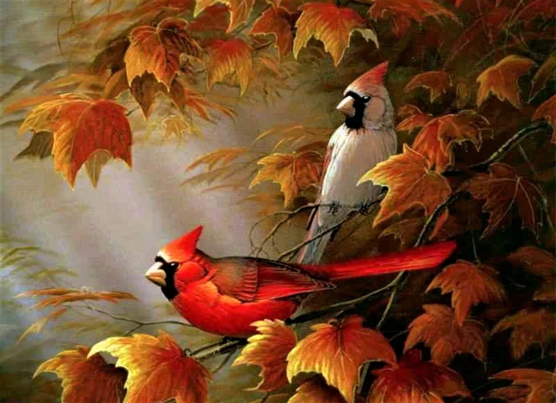 Fall bird. Художник Sam Timm. Художник Тимм Сэм (Timm Sam). Осенние птицы. Птицы живопись.