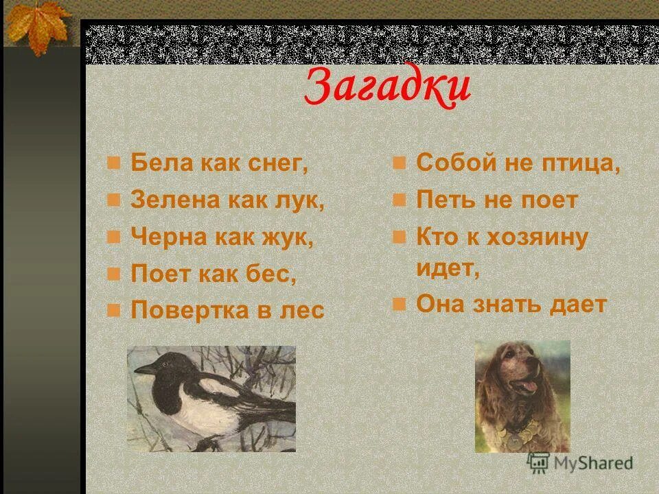 М. М м пришвина глоток молока. Пришвин рассказы. Пословицы к рассказу пришвина. Пришвин текст.