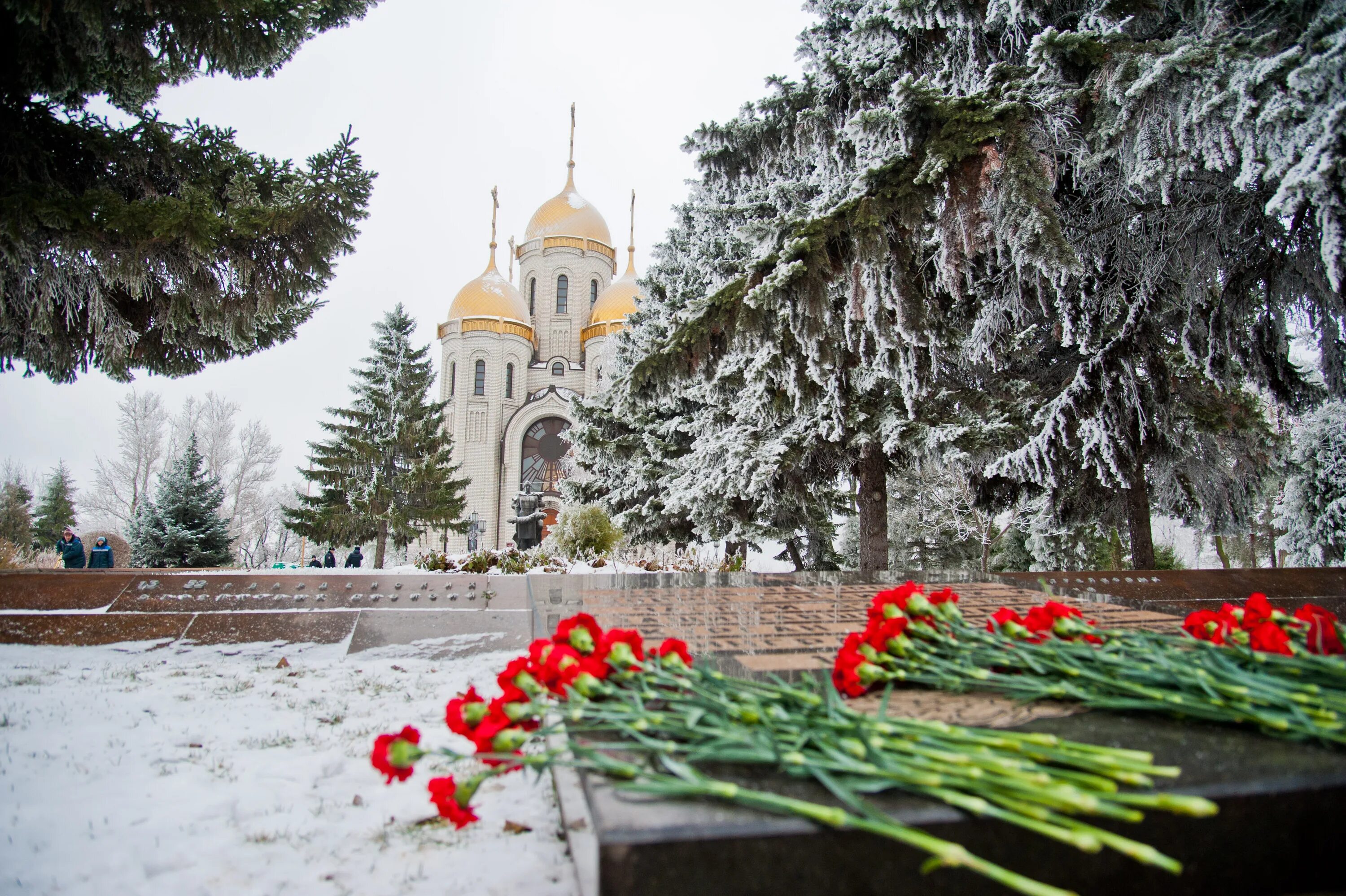 Гвоздика волгоград