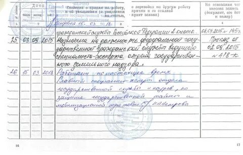 Работает по настоящее время в должности